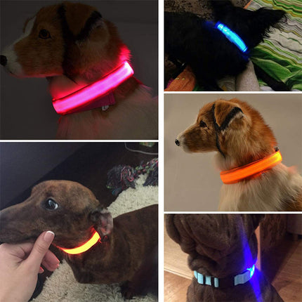 Spetter | LED Veiligheidshalsband voor Huisdieren | Zacht en Duurzaam | Oplaadbaar en Waterbestendig | Meerdere Kleuren